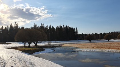 Die Natur um Hyvärilä