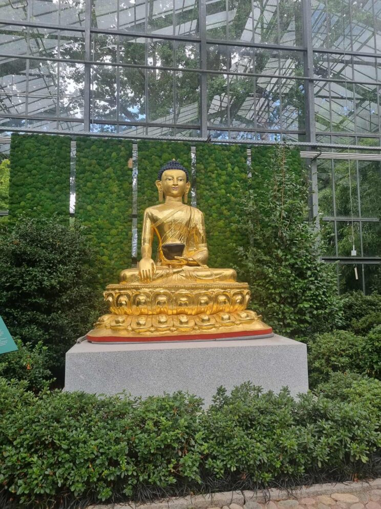 4fff886e-fb2d-417d-8555-7cd8808fcdd8