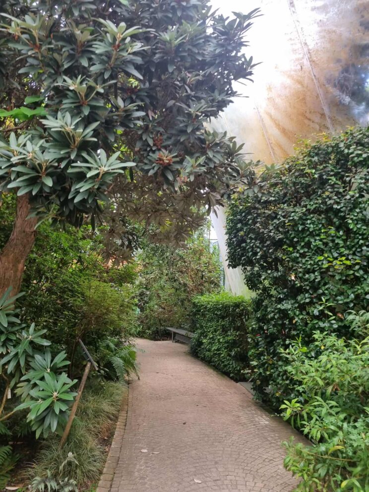 7683acbe-d953-4072-b4aa-6c08e2373e86