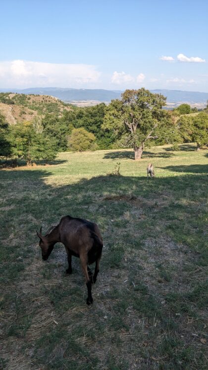 PXL_20250907_142431801