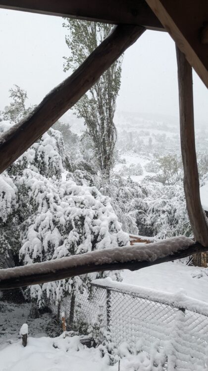 PXL_20251003_053752378