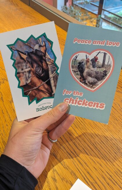 PXL_20251104_101256377_kopie