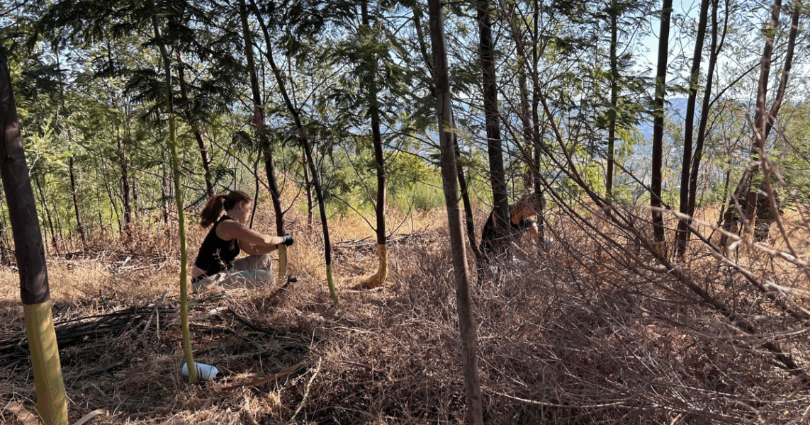 Untitled design (1) Untitled design (1)