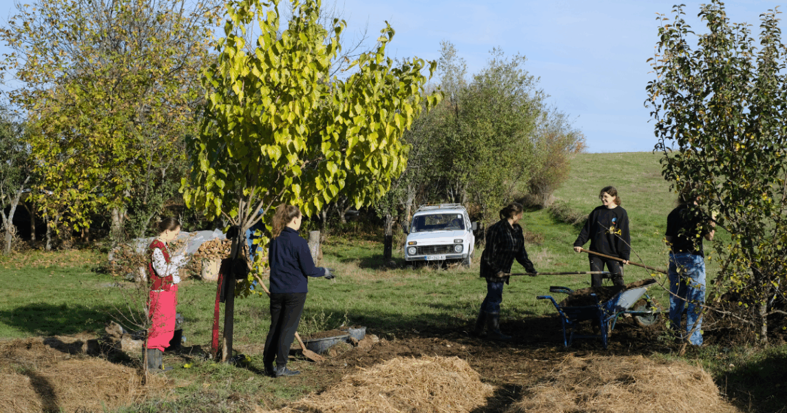 Untitled design (3) Untitled design (3)