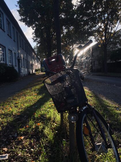 51f881a5-c015-4b83-b843-820e68da9d88