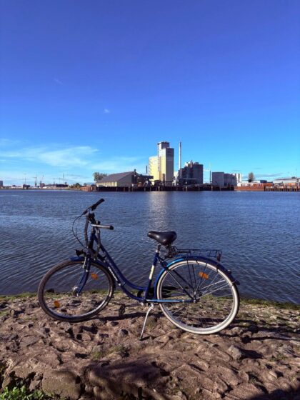 WhatsApp Image 2026-02-17 at 12.40.34 (3)