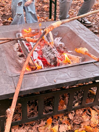 WhatsApp Image 2026-02-17 at 12.41.39