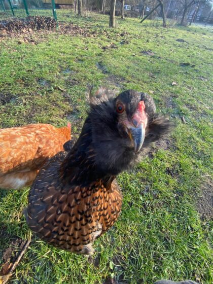 ab9832e4-c0e2-47c4-9d8b-7a763fe1408c