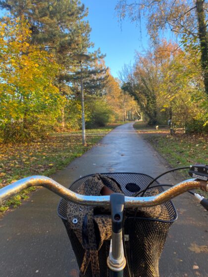 d7d21aac-6e1b-4126-8bf2-9cca8fbb2d2e