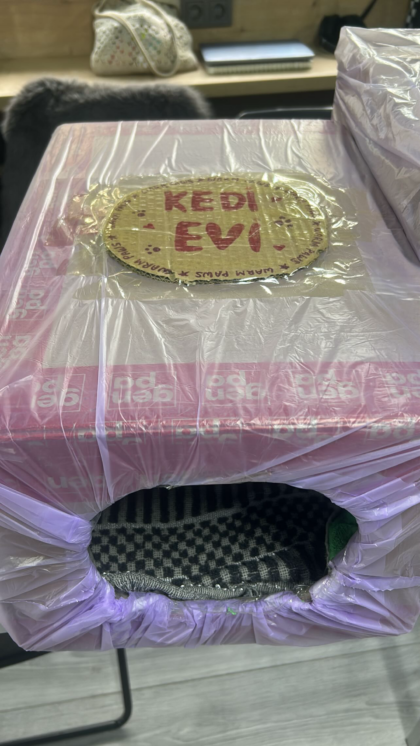 1671B4A0-6A0D-448E-BF72-675AFD9E96FD 2