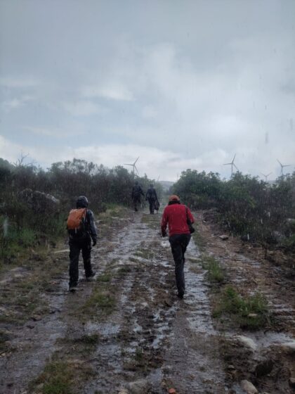 IMG-20260513-WA0034