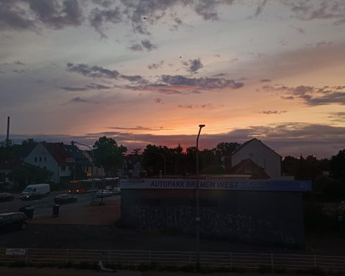 11561